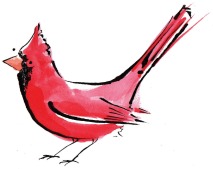 cardinal bird a garden bird in america