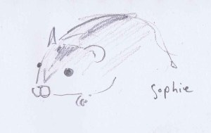 pencil drawing of sophie, my friend's hamster
