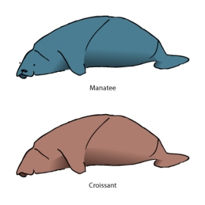 illustration of a manatee and croissant looking similar
