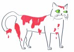 bloody pussy cat illustration