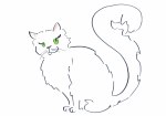 white pussy cat illustration