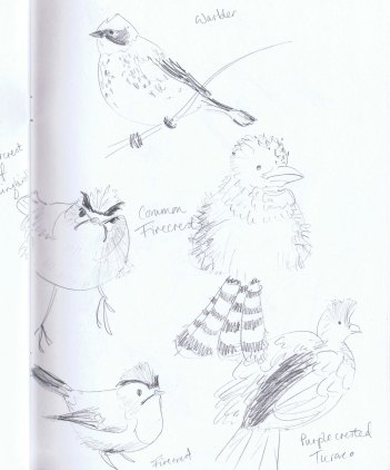 birds sketchbook 1